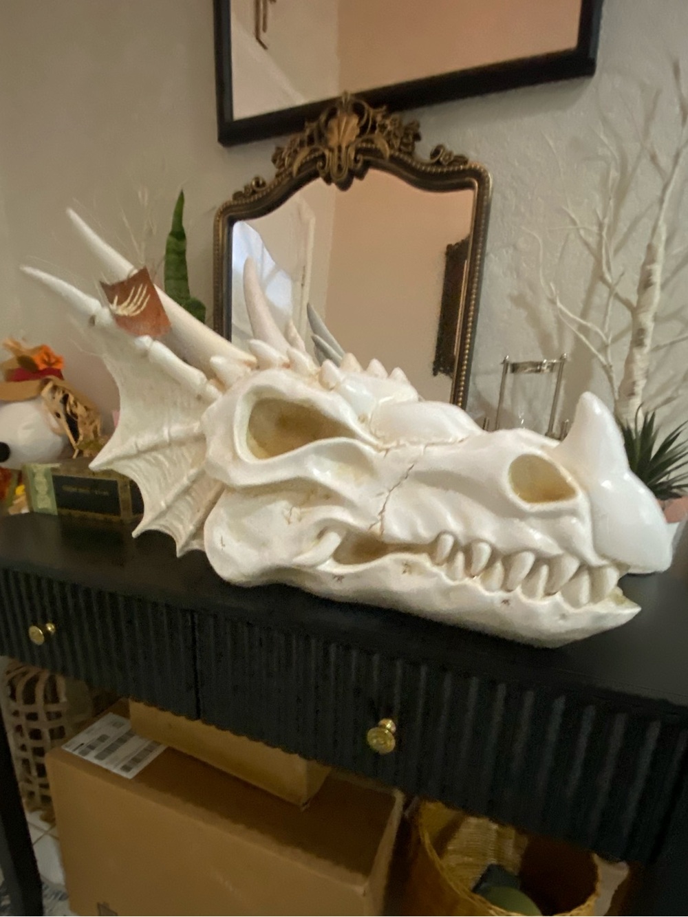 Giant White Dragon Skull - skeleton in the closet brand